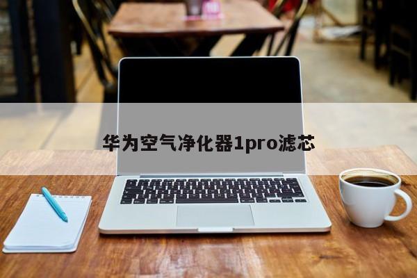 華為空氣凈化器1pro濾芯