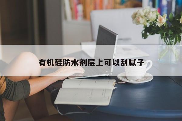 有機(jī)硅防水劑層上可以刮膩?zhàn)?></div>
            </a>
            <div   id=
