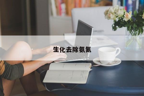 生化去除氨氮